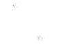 安徽青禾文化传媒有限公司
